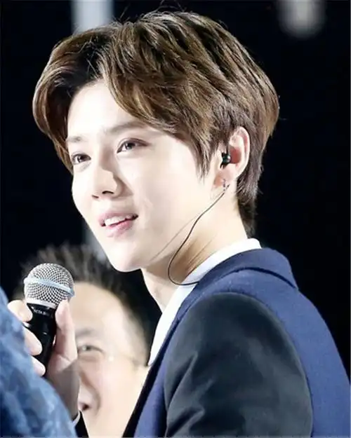 男士假发 韩版短发 男生帅气 中分刘海 短直发学生头 包邮