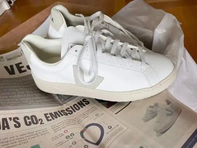 小白鞋推荐veja