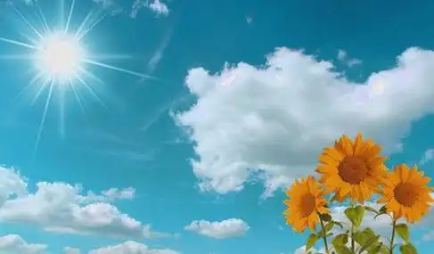 特别阳光的句子简短温暖阳光有内涵的句子