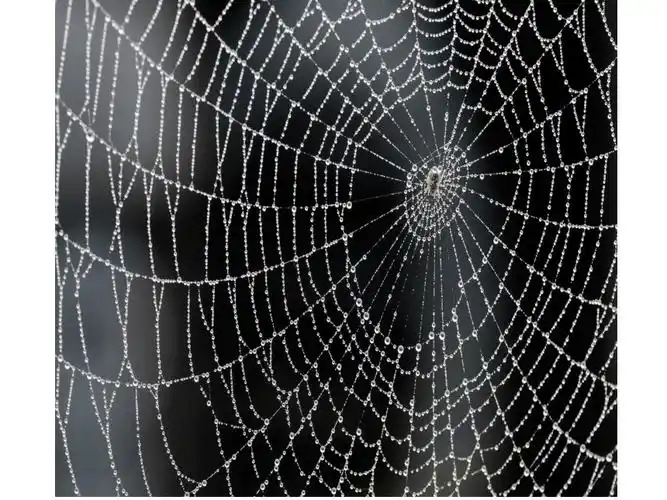 美术四年级上人教版4生活中的线条课件30张