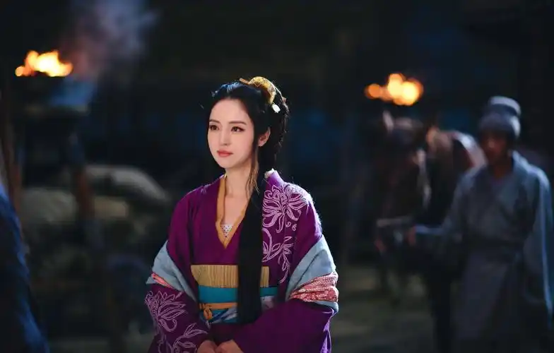 由董璇,马天宇,韩东君,万茜等主演的古装权谋谍战大剧《三国机密之