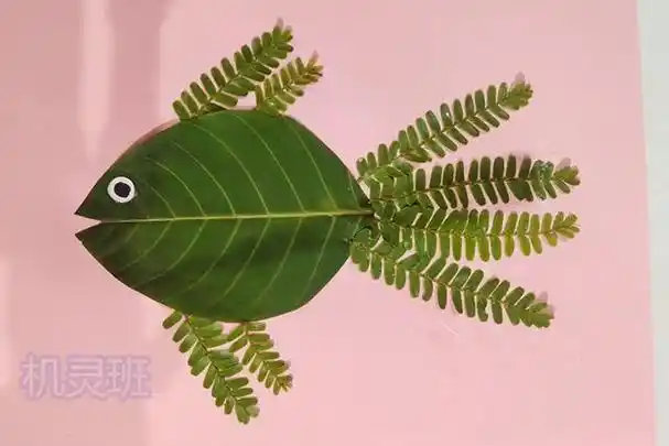 1,将椭圆形树叶末端剪开一个小缺口作为鱼嘴部分,整片叶子作为鱼身,用