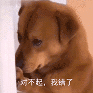 对不起,我错了(狗狗动图表情包)_动图_我错表情