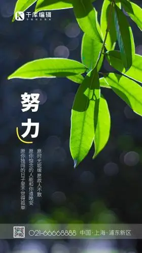 生态早晨树叶绿色清新通透摄影图配图 摄影图海报 励志海报