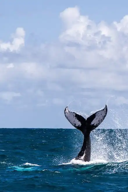 蓝色是最温暖的颜色,blue is the warmest color.