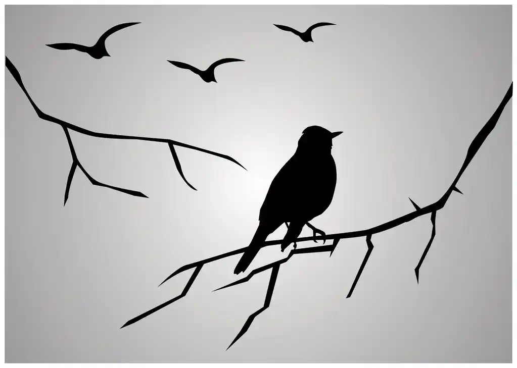 鸟剪影,坐在树枝上的矢量鸟