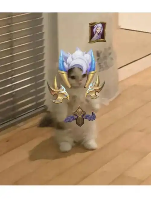 英雄联盟猫猫表情包(第五期) - 知乎