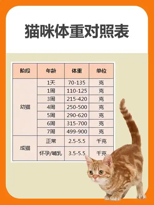猫咪健康体重对照表