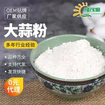 源头工厂大蒜粉脱水蔬菜粉固体饮料冲泡饮品代餐粉果蔬粉1斤起