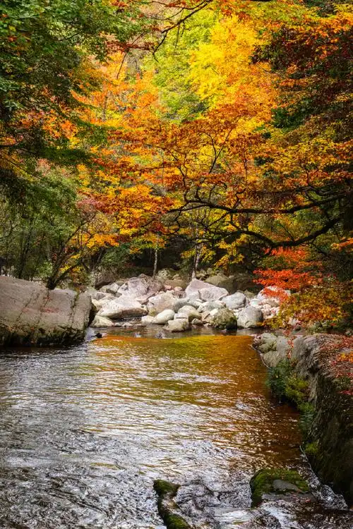 光雾山秋日限定多巴胺皮肤##万千秋色 尽在巴中##诗意山水,红色巴中