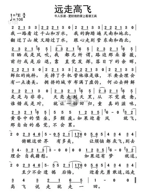 远走高飞金志文