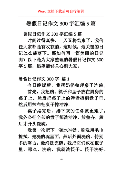 暑假日记作文300字汇编5篇docx7页