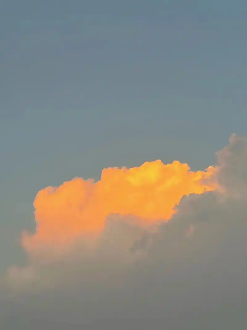 云朵生活随拍记录美好瞬间听说评论可以分享图片了