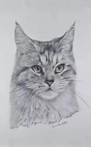 舞动丹青绘梦未来重庆十八中学生绘画作品巡展缤纷开展