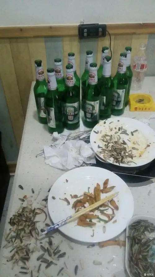 【图】一人我饮酒醉,啤酒瓶子没摔稀碎_1_山东论坛_爱卡汽车