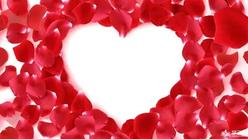 结婚纪念日图片文字