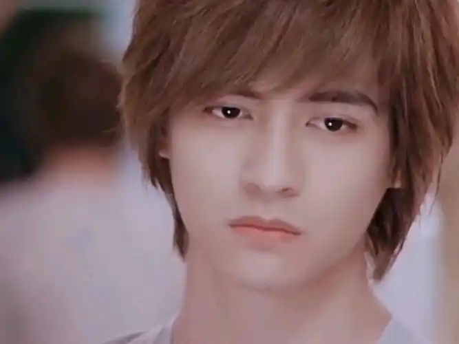 二十年过去了周渝民的颜值现在看来过时了吗