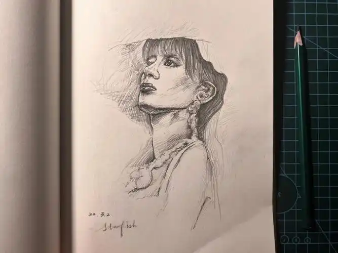 每日一画anita梅艳芳