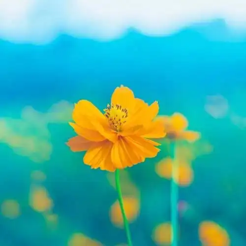 朋友圈封面图|好看的微信朋友圈背景图