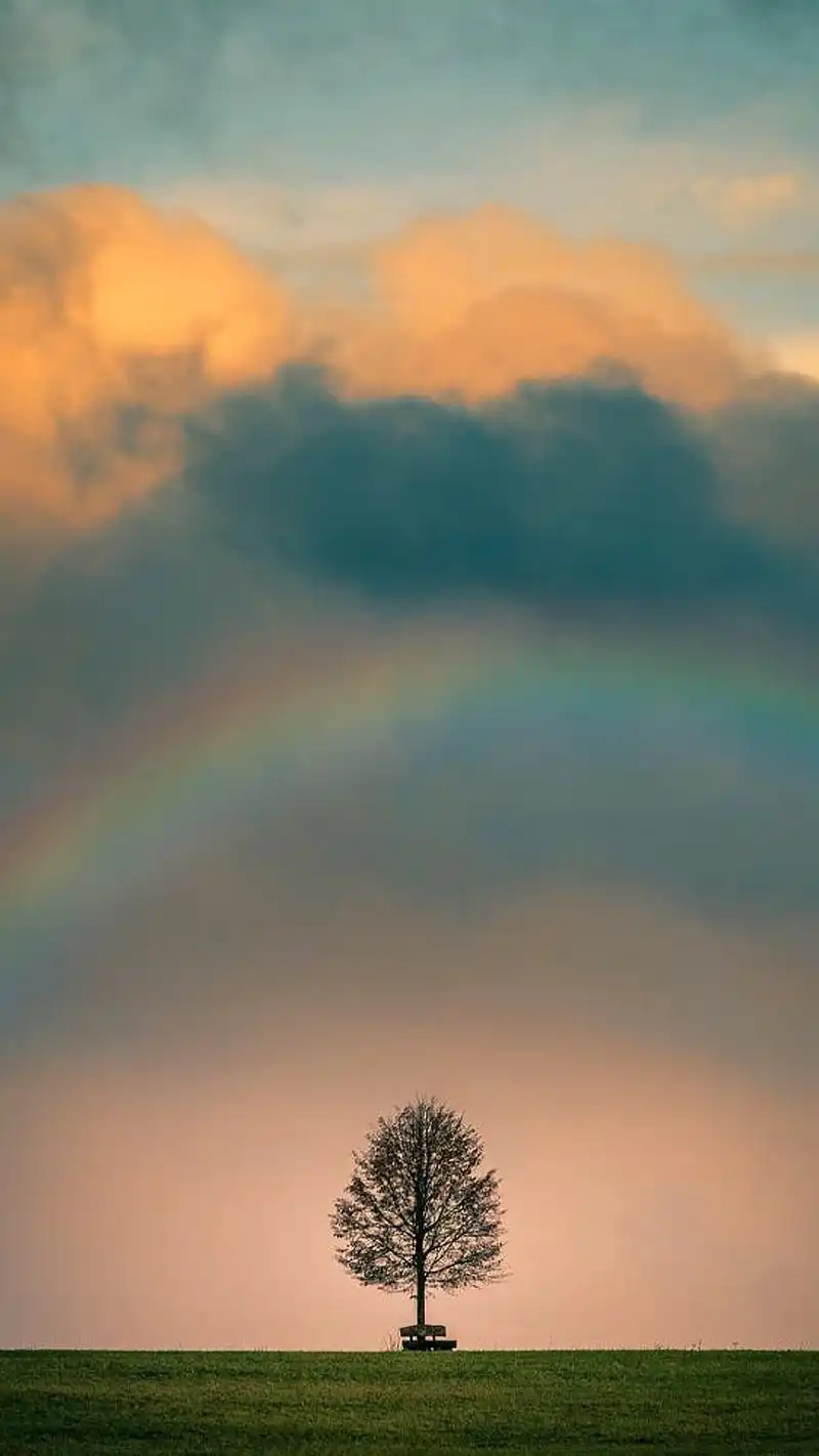 清新唯美自然风景图片手机壁纸