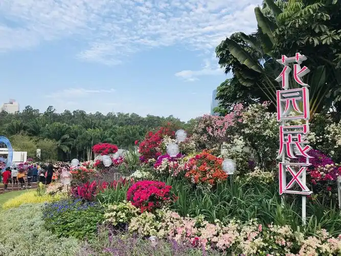 2020深圳莲花山公园簕杜鹃花展