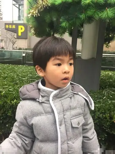 张庭儿子庆生一家四口齐聚豪宅内景曝光