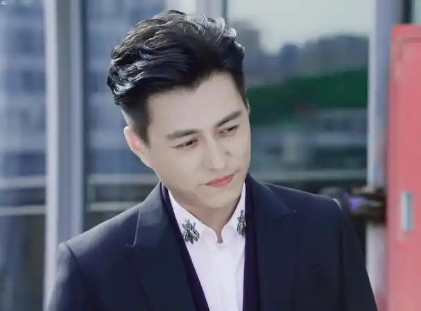 靳东素颜参加两会满脸褶子发胖臃肿网友男神贺涵真的老了