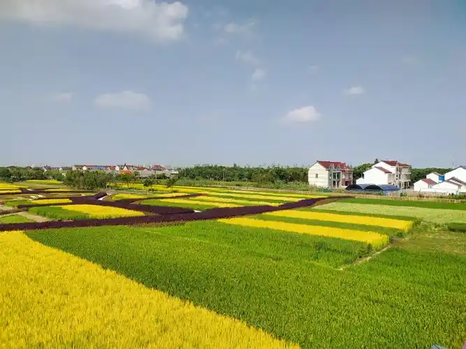 上海新农村游 - 美篇