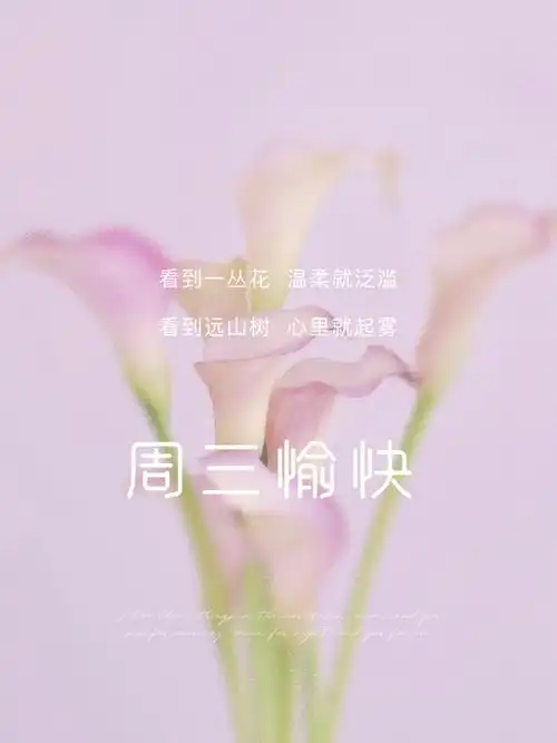 周三愉快早安日签诗意文案温暖治愈