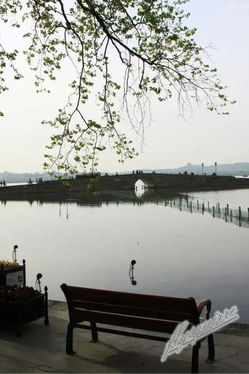 【印象西湖】魅力西湖 断桥魅影