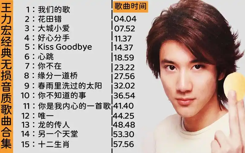 王力宏经典无损音质歌曲合集,都是耳熟能详的歌,刻在dna的回忆
