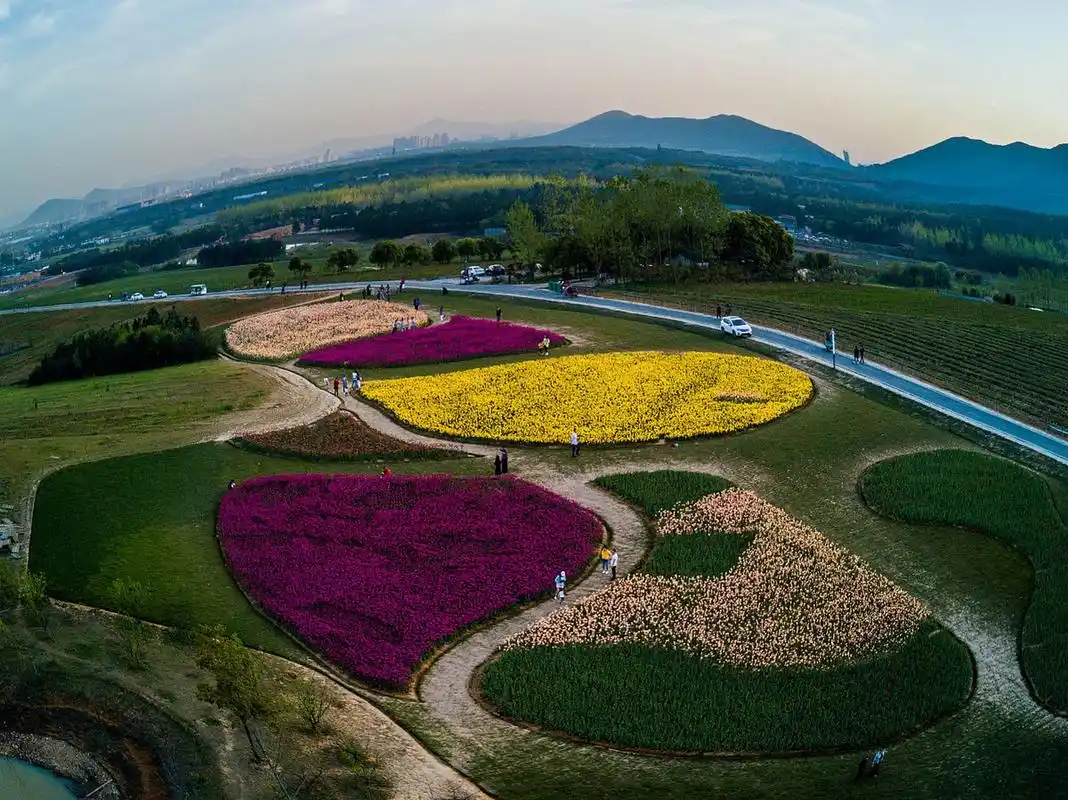 探寻江苏的自然之美,不妨前往宿迁三台山森林公园.公园依山傍水,风景