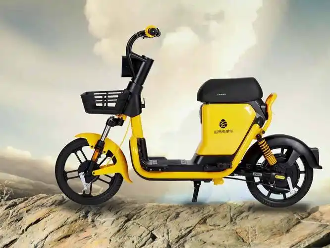 松果共享电动小黄车