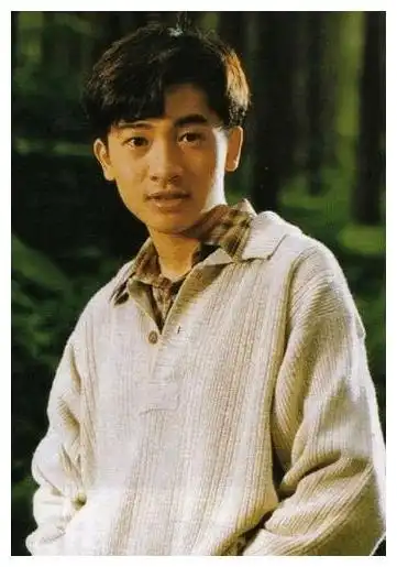 20多年前最帅8张脸,苏有朋倒数,古天乐第3,第一帅出边际