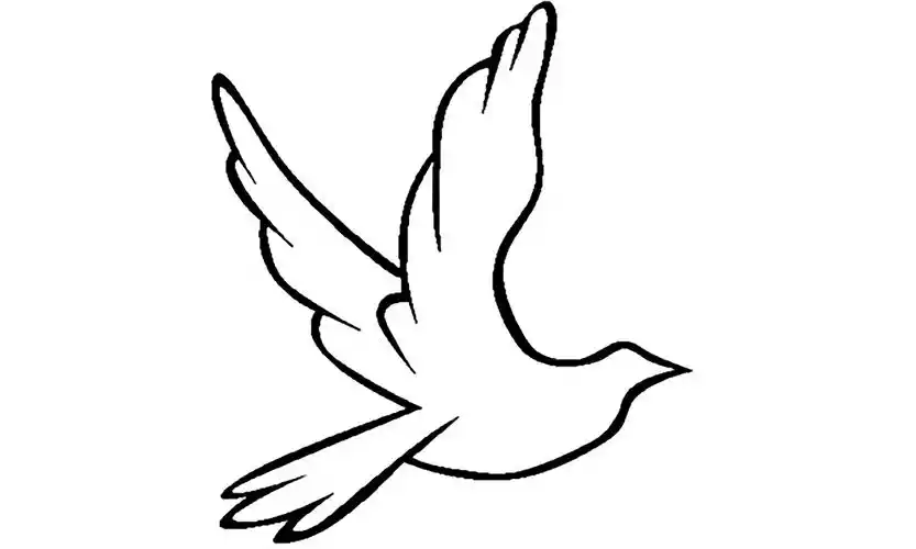 韶兮坊头牌白鸽埙cover伍佰