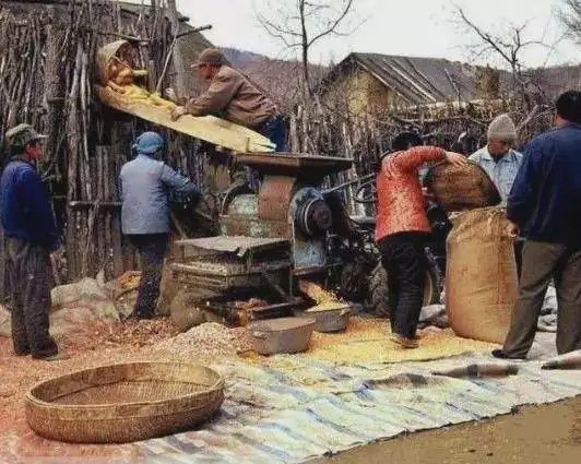 90年代东北老照片朴实的乡村民情最后一张老大爷在烤猪头