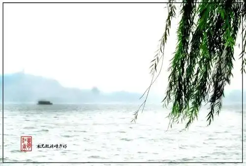 烟雨江南 水墨丹青