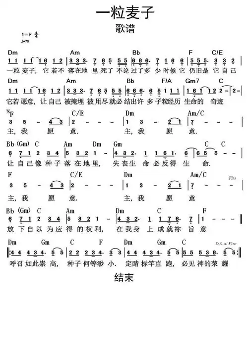 一粒麦子歌词简谱