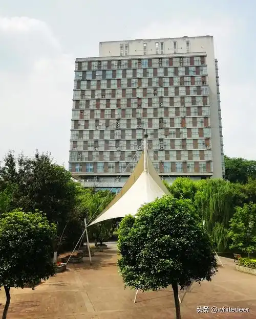 西南大学图片大全(西南大学校徽图片高清)-爱妻自媒体