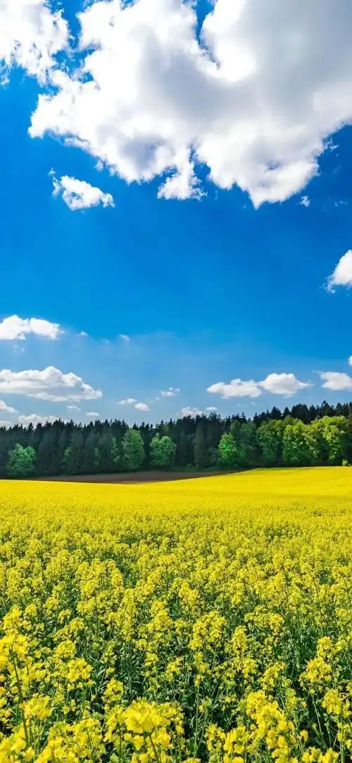 iphone壁纸 安卓壁纸 最新壁纸 手机锁屏壁纸 情侣壁纸 个性头像 好看