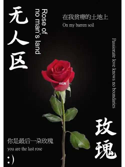 ps海报练习|39 无人区玫瑰
