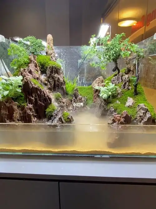 室内微景观_微景观_kings square 王府井攻略_王府井_鱼缸_鱼缸造景