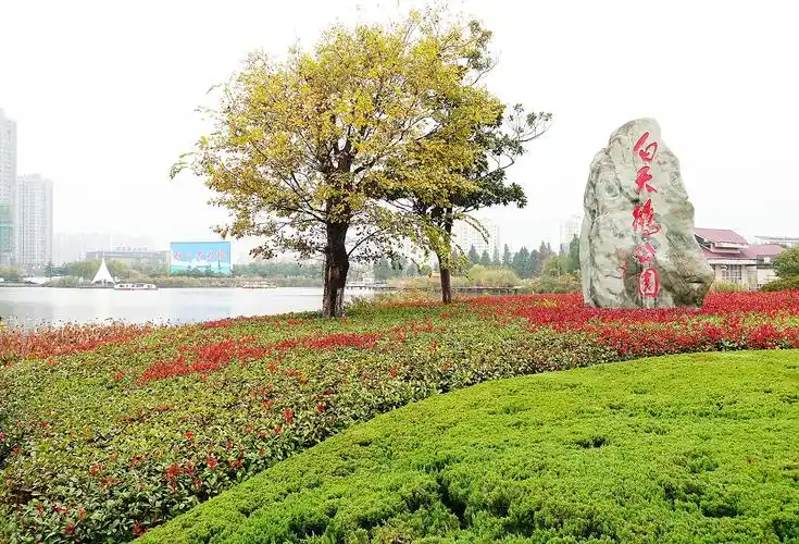 p>白天鹅公园在 a target="_blank" href="/item/阜宁/871643" data