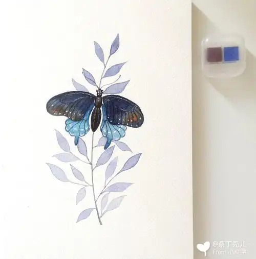 夏日阳光里听见蝴蝶相触声…97工具:溢彩水彩纸,史明克颜料,escoda