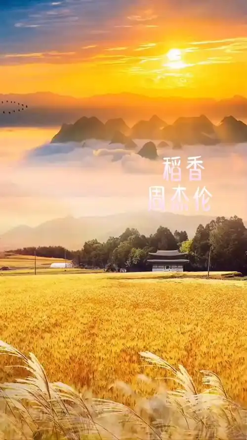 稻香#周杰伦
