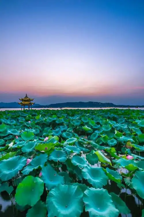 这些图告诉你,什么是杭州?