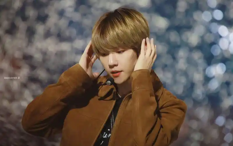 【exo 边伯贤】封面即所得 | 棕色贤 power超清4k直拍~收藏向