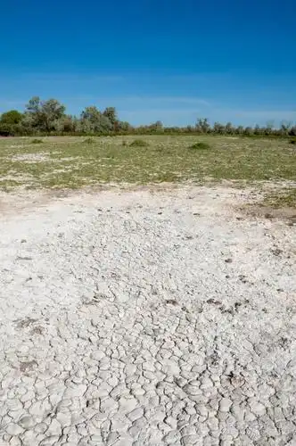 草原盐渍土.在盐的盐渍盐.草原草原草原草原.盐渍土的沙漠, 盐的湖泊.