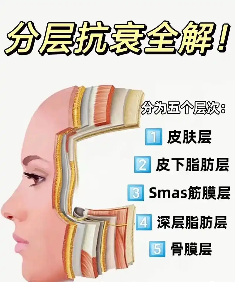 护肤科普:面部结构总体分为5层表皮层,真皮层,皮下组织层, - 抖音