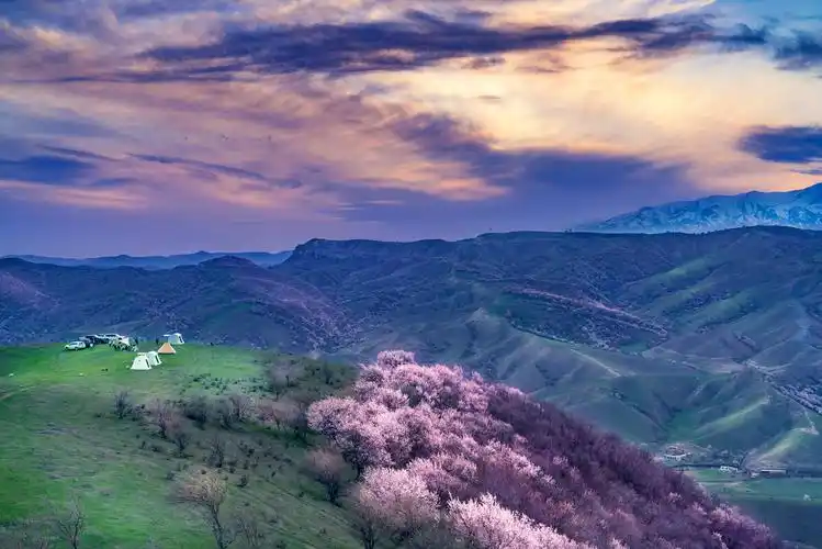 新疆福寿山杏花沟大西沟